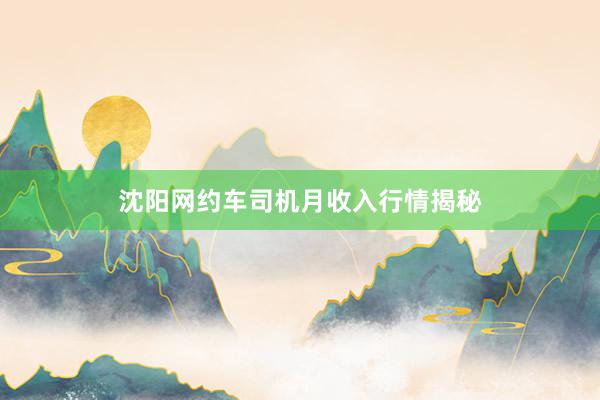 沈阳网约车司机月收入行情揭秘